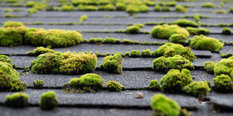 5 Surprising Things That Damage Residential Roofing