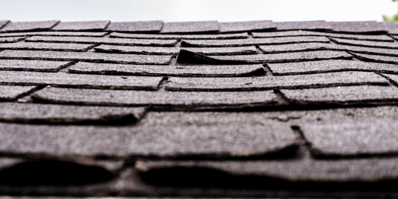 Is a Roof Replacement in Your Future? 4 Red Flags to Watch Out For!